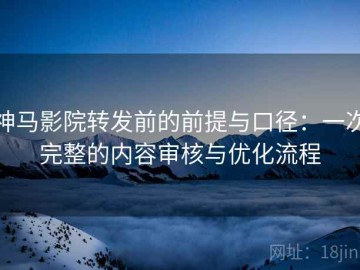 神马影院转发前的前提与口径：一次完整的内容审核与优化流程